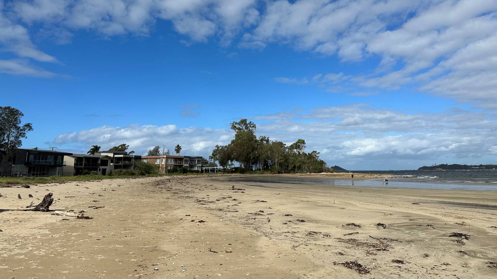 A beach with houses along the foreshore.