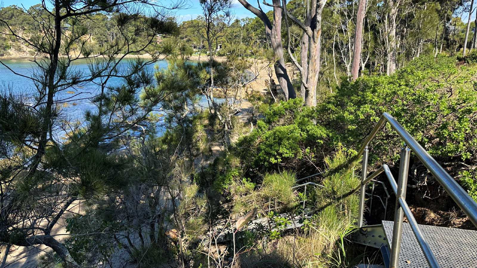 Image A set of stairs with steel handrails leads through vegetation down to a beach.