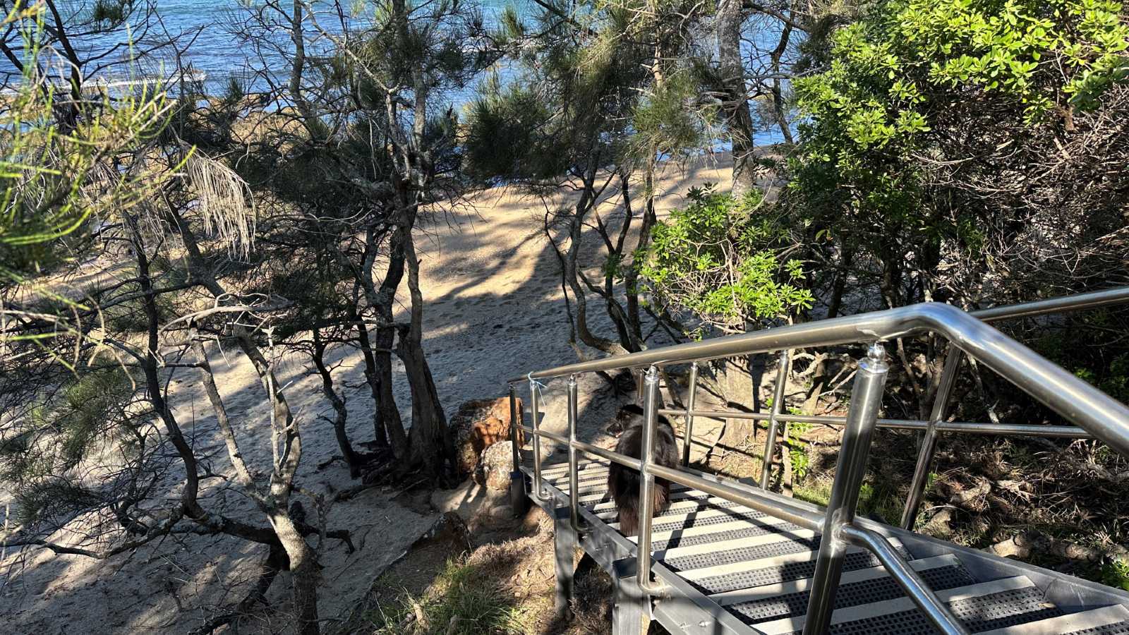 Image A set of stairs with steel handrails leads through vegetation down to a beach.