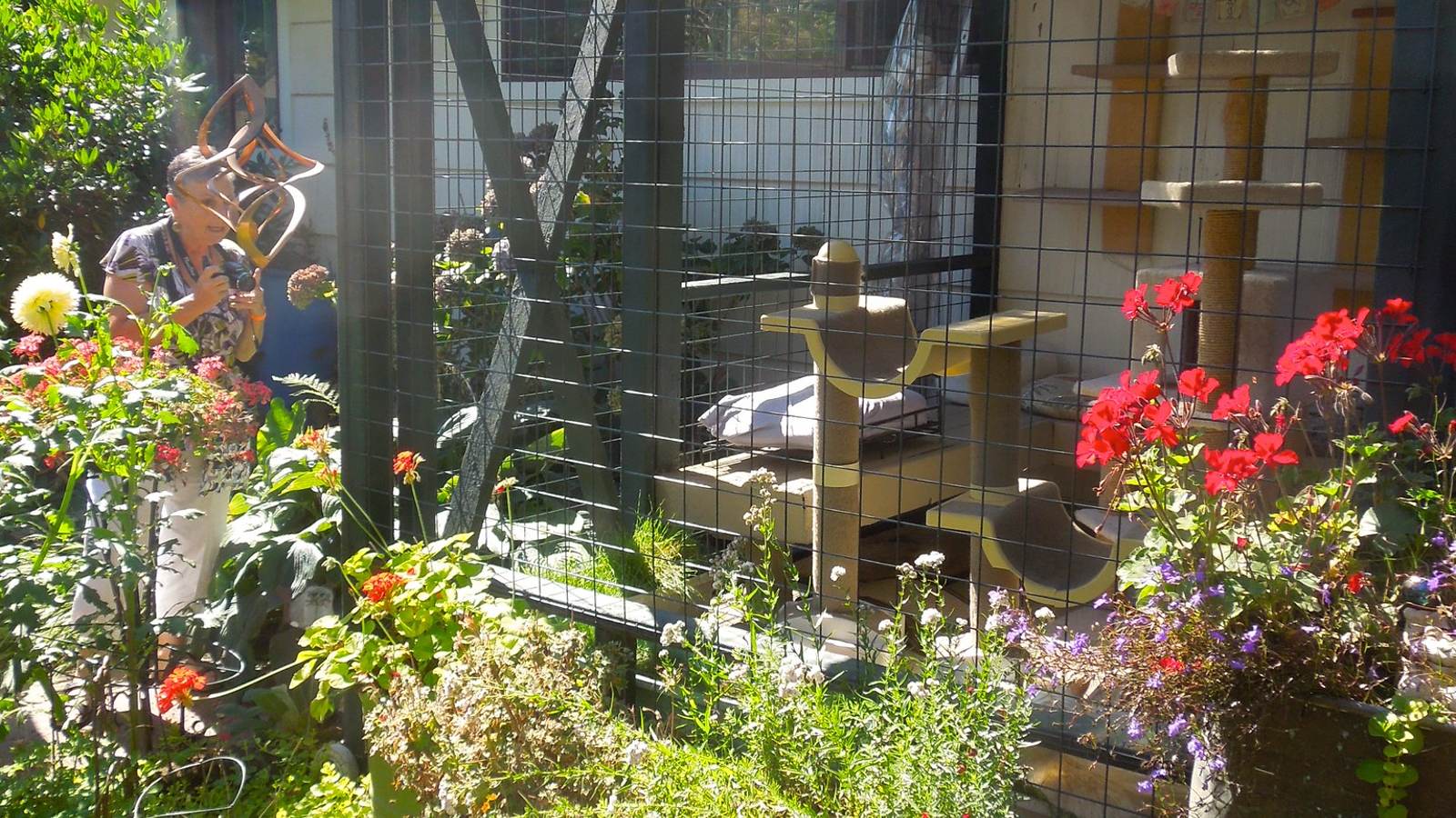 Image Cat enclosure in yard surrounded by plants and flowers and a woman looking at enclosure