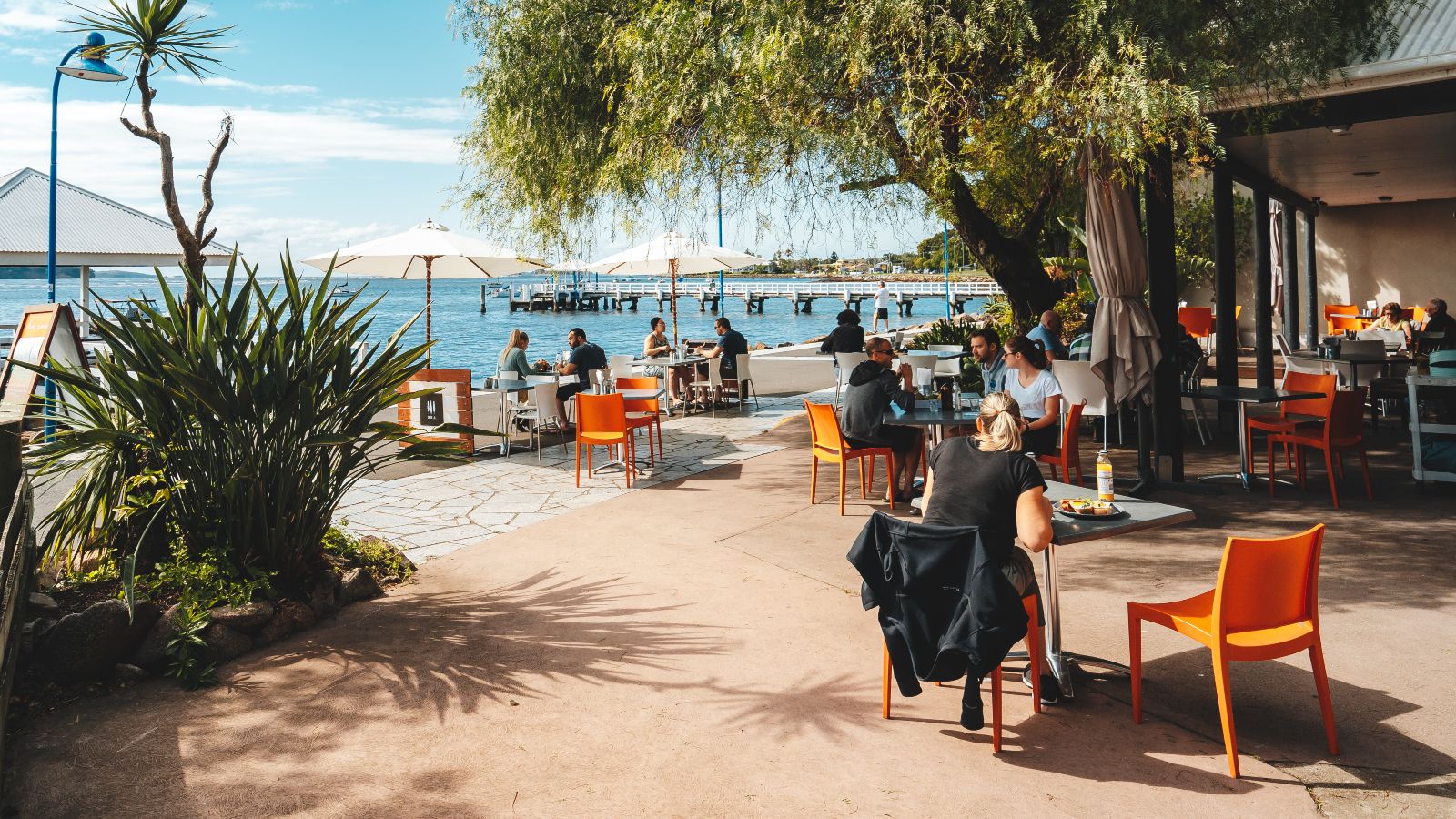 People dining in cafe on the waterfront with overhanging tree banner image