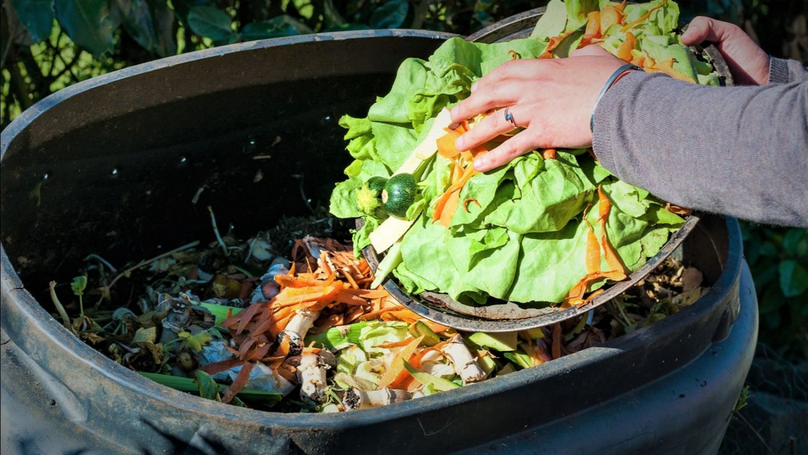 Close up image of person's hands holding compost banner image