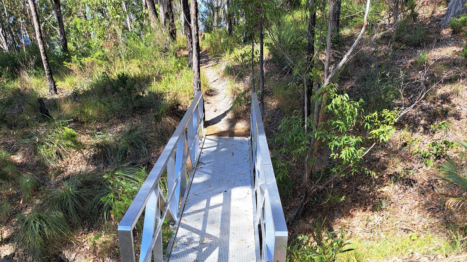 Image A short footbridge lined with handrails leads to a narrow bush track.