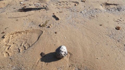 a debris ball on a beach 