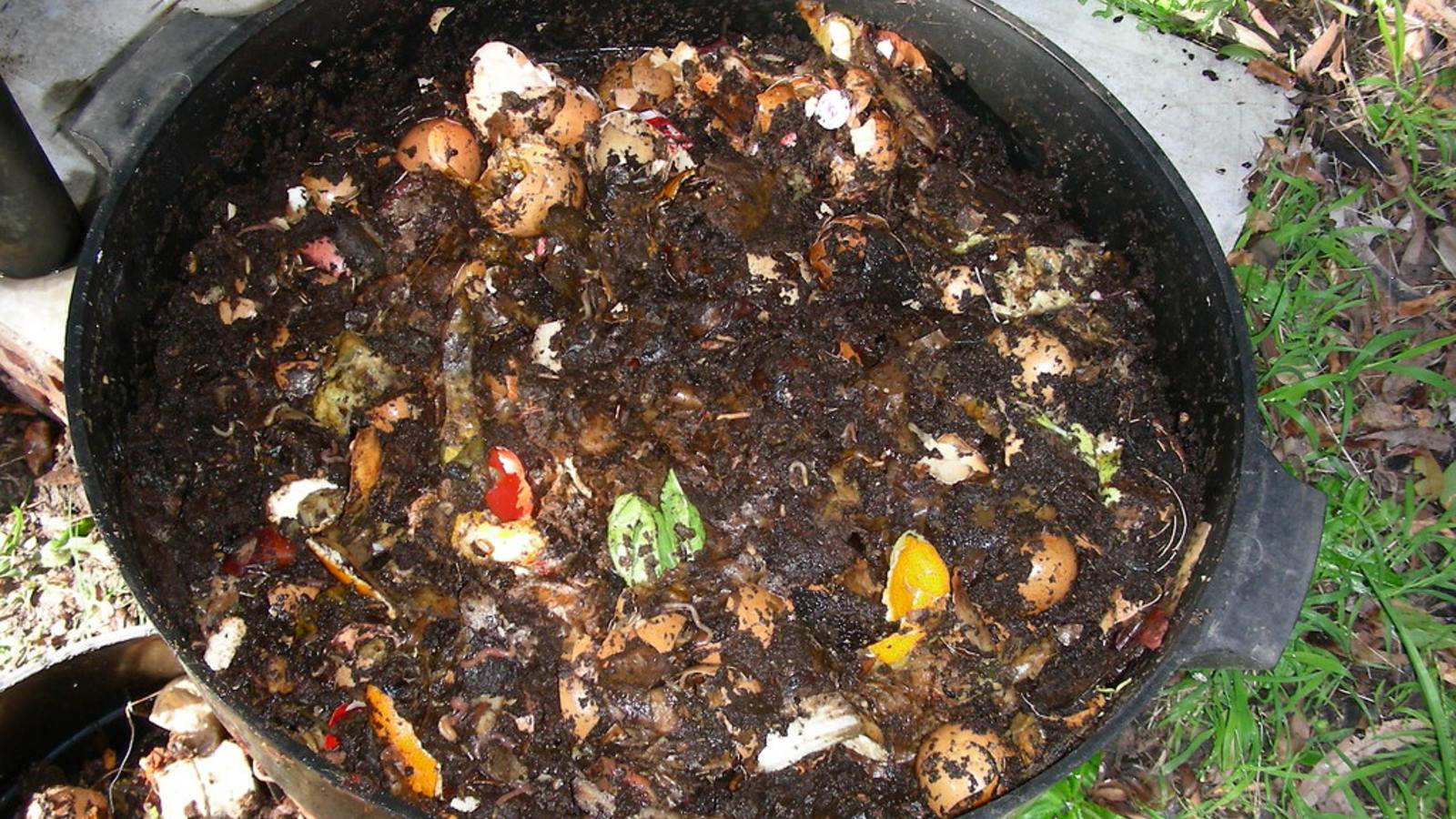 Home composting and worm farming