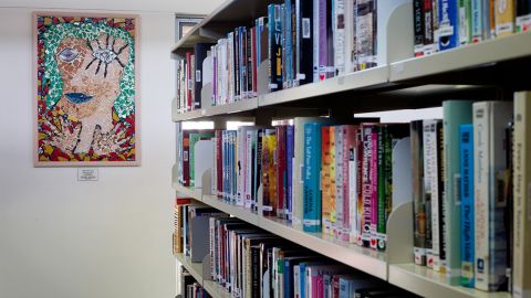 Library shelves with books
