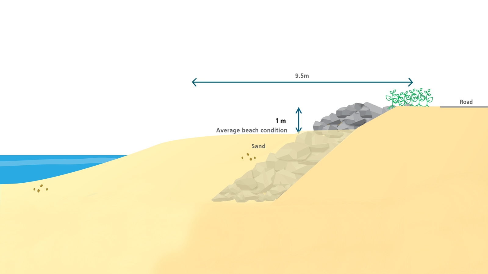 A diagram shows a profile view of a rock seawall largely buried under sand.