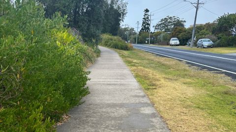 concrete path