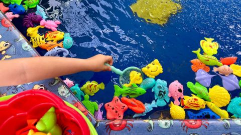 A young child reaching out to catch small, floating ocean-themed inflatables with a net from a small pool.