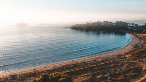 Drone shot of a golden beach at sunrise.