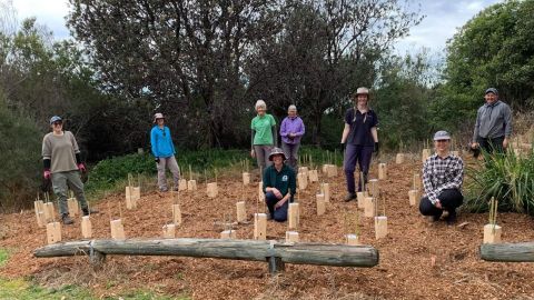 Eight people stand and sit looking at the camera amongst newly-planted trees.