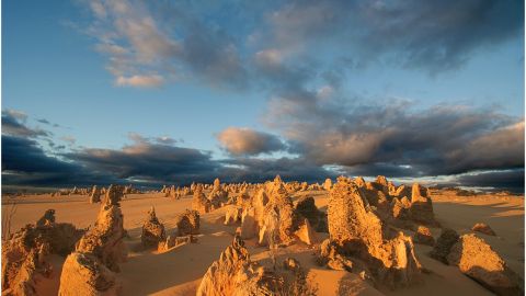 Image of eroded limestone structures rising up from a sandy desert. Pinnacles Desert WA