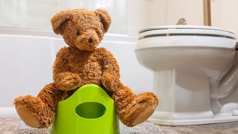 Teddy bear sitting on a green floor potty.