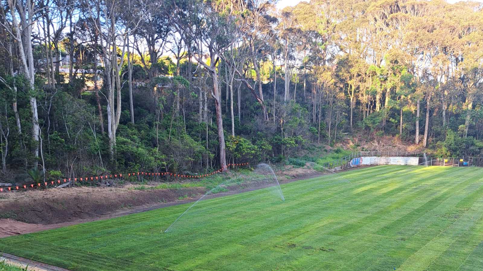 Image Sprinklers are watering freshly laid instant turf.