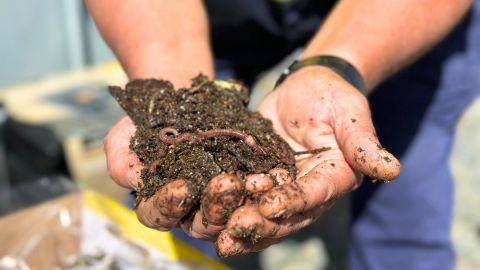 hands cupping dirt and worms